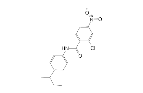 N-(4-sec-butylphenyl)-2-chloro-4-nitrobenzamide