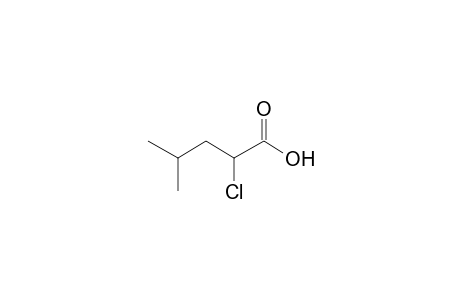 2-Chloro-4-methylpentanoic acid