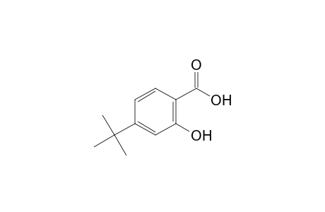 4-tert-butylsalicylic acid