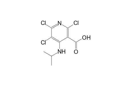 3-pyridinecarboxylic acid, 2,5,6-trichloro-4-[(1-methylethyl)amino]-