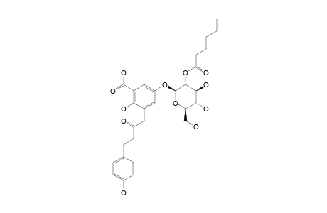SCORZONERIC_ACID;5-(1-(2-O-HEXANOYL)-BETA-D-GLUCOPYRANOSYLOXY)-2-HYDROXY-3-[4-(4-HYDROXYPHENYL)-2-OXOBUTYL]-BENZOIC_ACID