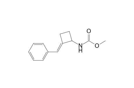 (N-Methoxycarbonylamino)benzylidenecyclobutane