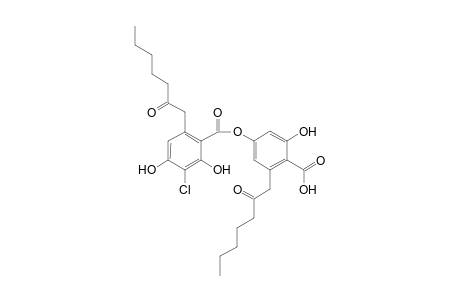 3-Chloro-4-O-demethylmicrophyllinic acid