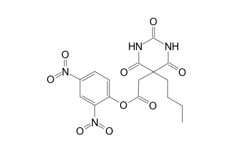 5-(1-Byutyl)-5-(2-(2,4-dinitrophenoxycarbonylmethyl))barbituric acid
