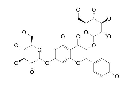 KAEMPFEROL-3-O,7-O-DIGLUCOSIDE