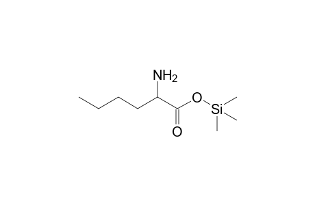 norleucine, 1TMS