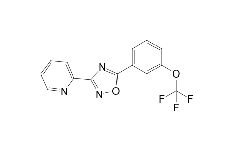 3-(2-Pyridyl)-5-[3-(trifluoromethoxy)phenyl]-1,2,4-oxadiazole