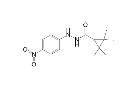 2,2,3,3-Tetramethyl-N'-(4-nitrophenyl)cyclopropanecarbohydrazide