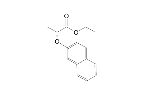 ETHYL-2-(2-NAPHTHOXYL)-PROPANOATE