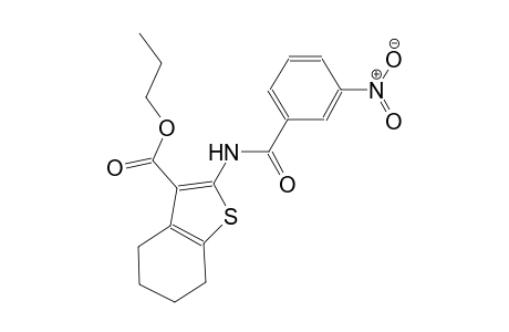 propyl 2-[(3-nitrobenzoyl)amino]-4,5,6,7-tetrahydro-1-benzothiophene-3-carboxylate