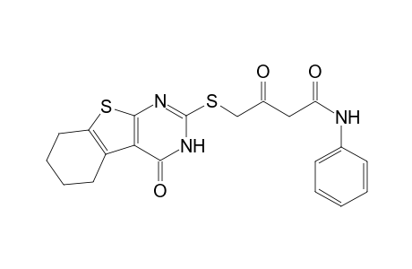 N-Phenyl-2-[(5',6',7',8'-tetrahydrobenzo[4,5]thieno[2,3-d]pyrimidin-2'-yl)thio]-3-oxobutamide