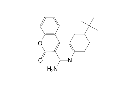 7-Amino-11-tert-butyl-9,10,11,12-tetrahydro-6H-chromeno[3,4-c]quinolin-6-one