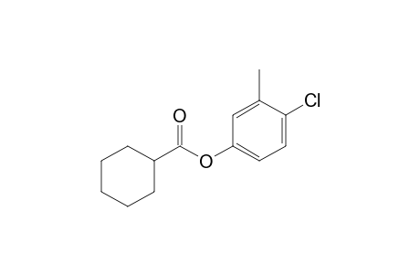 Cyclohexanecarboxylic acid, 3-methyl-4-chlorophenyl ester