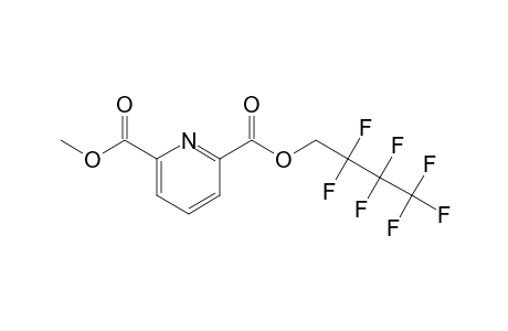 2,6-Pyridinedicarboxylic acid, 2,2,3,3,4,4,4-heptafluorobutyl methyl ester