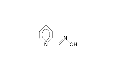 2-Formyl-1-methyl-pyridinium oxime cation