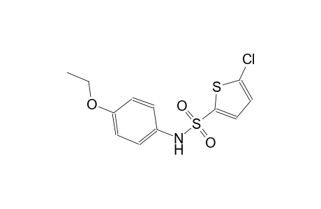 5-chloro-N-(4-ethoxyphenyl)-2-thiophenesulfonamide