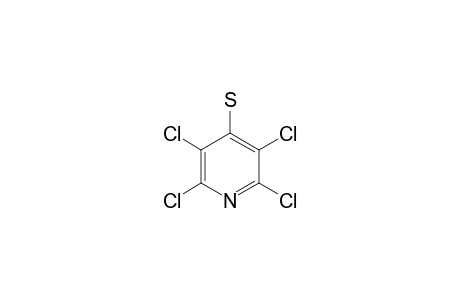 4-MERCAPTO-2,3,5,6-TETRACHLOROPYRIDINE