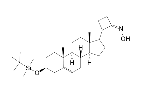 3-.xi.-[3'-(.beta.-tert-Butyldimethylsilyloxyandrost-5'-en-17.beta.-yl]-1-(hydroxyimino)cyclobutane