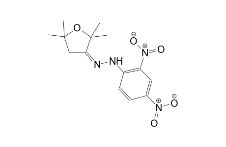 3(2H)-furanone, dihydro-2,2,5,5-tetramethyl-, (2,4-dinitrophenyl)hydrazone, (3Z)-