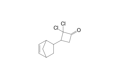 5-(2',2'-Dichlorocyclobutan-3'-only)bicyclo[2.2.1]hept-2-ene