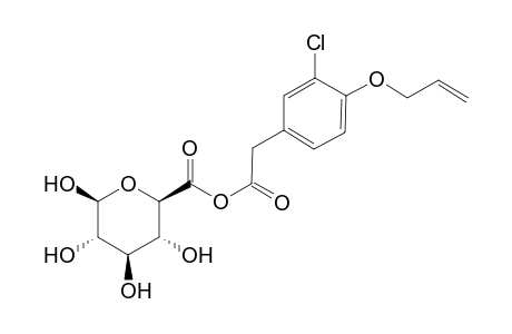 1-.beta.-D-glucuronic acid-4-allyloxy-3-chlorophenylacetate