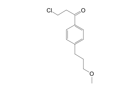1-(3-Chloro-1-oxopropyl)-4-(3-methoxypopyl)benzene