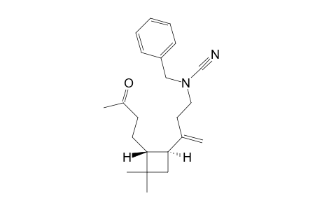 Benzyl{3-[(1S,2R)-3,3-dimethyl-2-(3-oxobutyl)cyclobutyl]but-3-enyl}lcyanamide