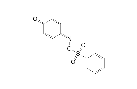 p-BENZOQUINONE, MONO[O-(PHENYLSULFONYL)OXIME]