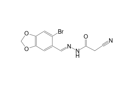 N'-[(E)-(6-Bromo-1,3-benzodioxol-5-yl)methylidene]-2-cyanoacetohydrazide