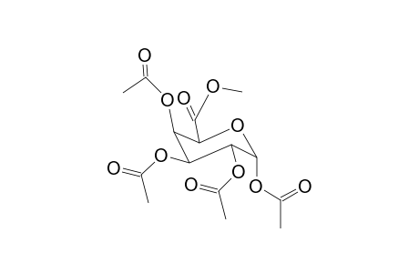 Methyl 1,2,3,4-tetra-O Acetyl-D-glucuonatopyranose