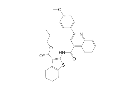 propyl 2-({[2-(4-methoxyphenyl)-4-quinolinyl]carbonyl}amino)-4,5,6,7-tetrahydro-1-benzothiophene-3-carboxylate