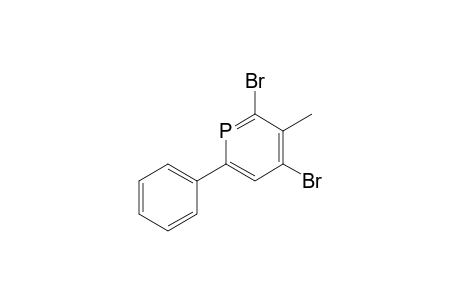 2,4-Dibromo-3-methyl-6-phenylphosphinine