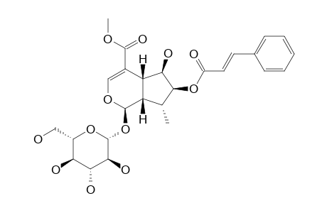 CAUDATOSIDE-B;7-CINNAMOYL-5-DEOXYPULCHELLOSIDE-I