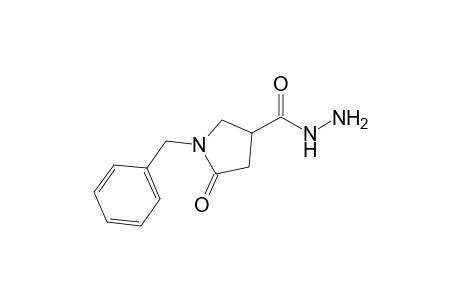 1-Benzyl-5-oxopyrrolidine-3-carbohydrazide