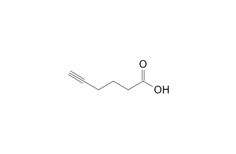 5-Hexynoic acid