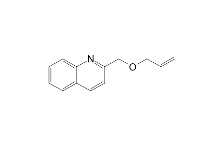 2-(Allyloxymethyl)quinoline