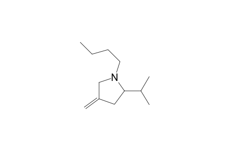 1-Butyl-2-isopropyl-4-methylene-pyrrolidine