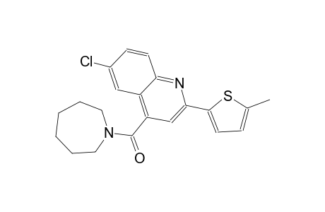 6-chloro-4-(hexahydro-1H-azepin-1-ylcarbonyl)-2-(5-methyl-2-thienyl)quinoline