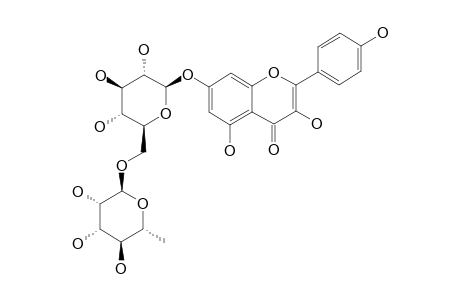KAEMPFEROL-7-O-NEOHESPERIDOSIDE