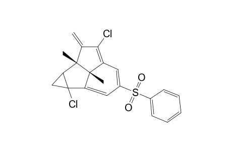 2,7-DICHLORO-5,12-DIMETHYL-6-METHYLENE-10-PHENYLSULFONYL-TETRACYCLO-[6.3.1.0(2,4).0(5,12)]-DODECA-7,9,11-TRIENE