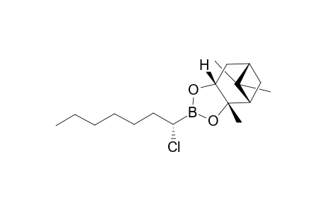 Pinanediol - (1S)-1-Chloroheptaneboronate