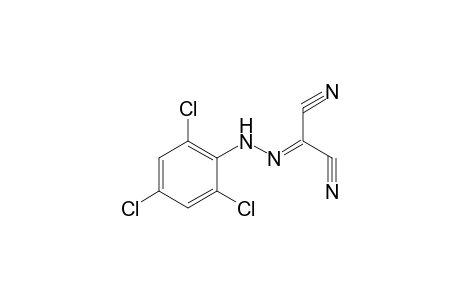 2-[(2,4,6-Trichlorophenyl)hydrazono]malononitrile