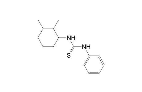 1-(2,3-Dimethyl-cyclohexyl)-3-phenyl-thiourea