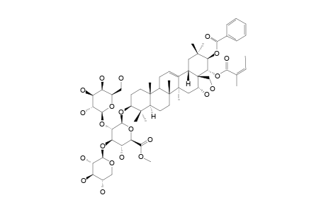 ACUTANGULOSIDE-E-METHYLESTER;3-O-BETA-D-XYLOPYRANOSYL-(1->3)-[BETA-D-GALACTOPYRANOSYL-(1->2)]-BETA-D-METHYLGLUCURONOPYRANOSYL-21-O-BENZOYL-22-O-