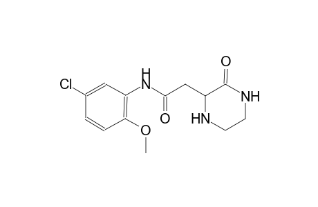 N-(5-chloro-2-methoxyphenyl)-2-(3-oxo-2-piperazinyl)acetamide