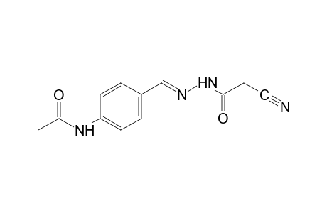 cyanoacetic acid, (p-acetamidobenzylidene)hydrazide