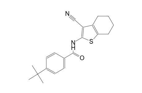 4-tert-butyl-N-(3-cyano-4,5,6,7-tetrahydro-1-benzothien-2-yl)benzamide