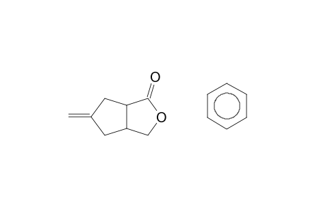 3-Oxabicyclo[3.3.0]octan-2-one, 7-benzylidene-, (E)-