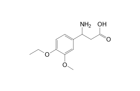 3-Amino-3-(4-ethoxy-3-methoxy-phenyl)propanoic acid