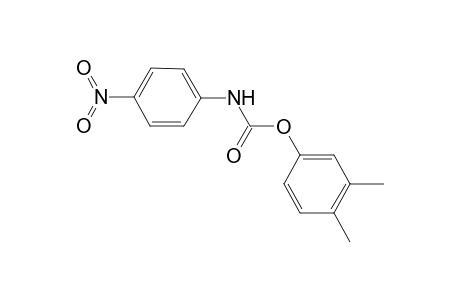 3,4-Dimethylphenyl 4-nitrophenylcarbamate